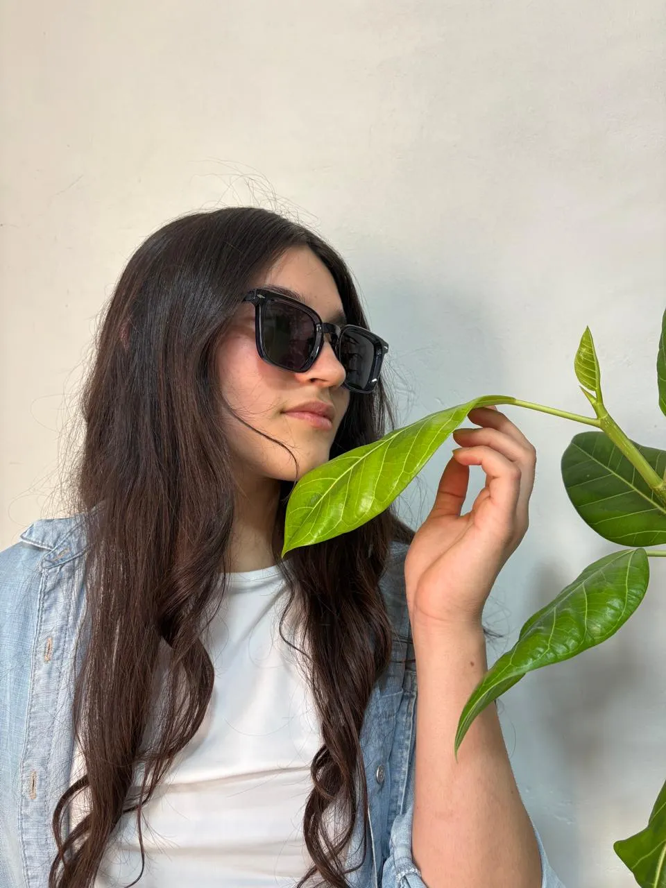 Lente de sol modelo 6